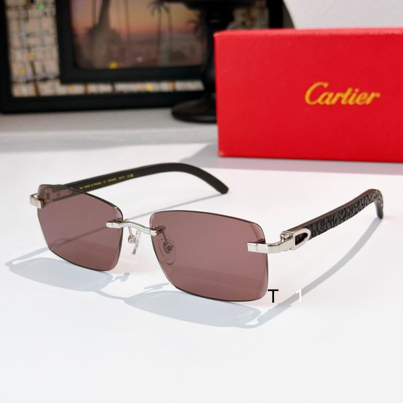 Cartier CT01675O 143 s02