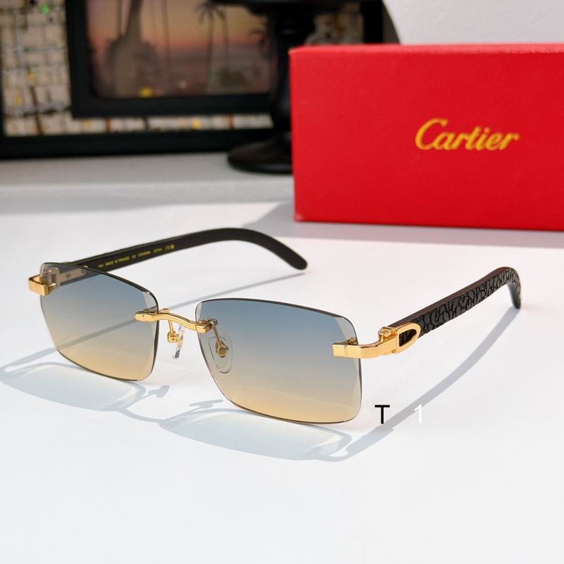 Cartier CT01675O 143 s04