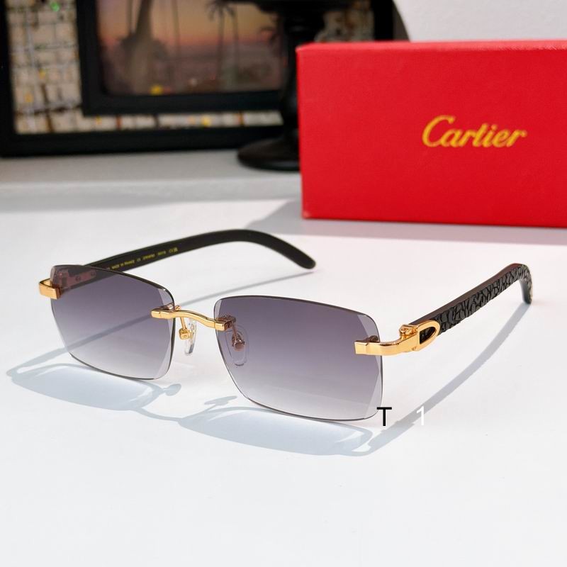 Cartier CT01675O 143 s05