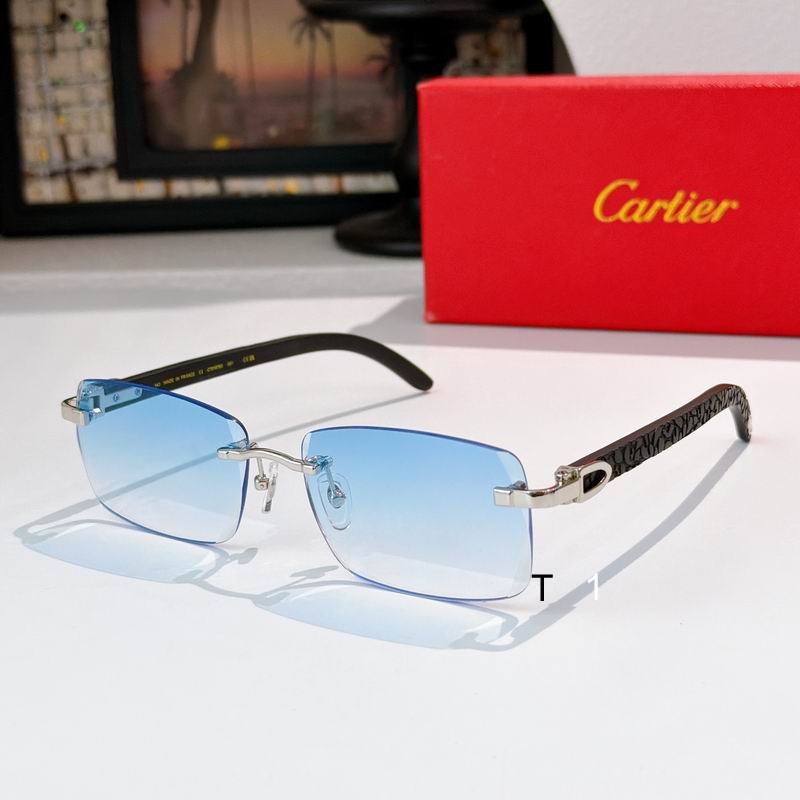 Cartier CT01675O 143 s06