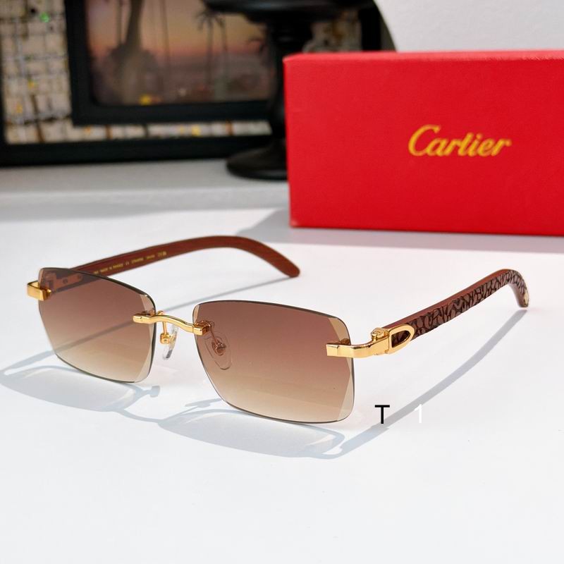 Cartier CT01675O 143 s08