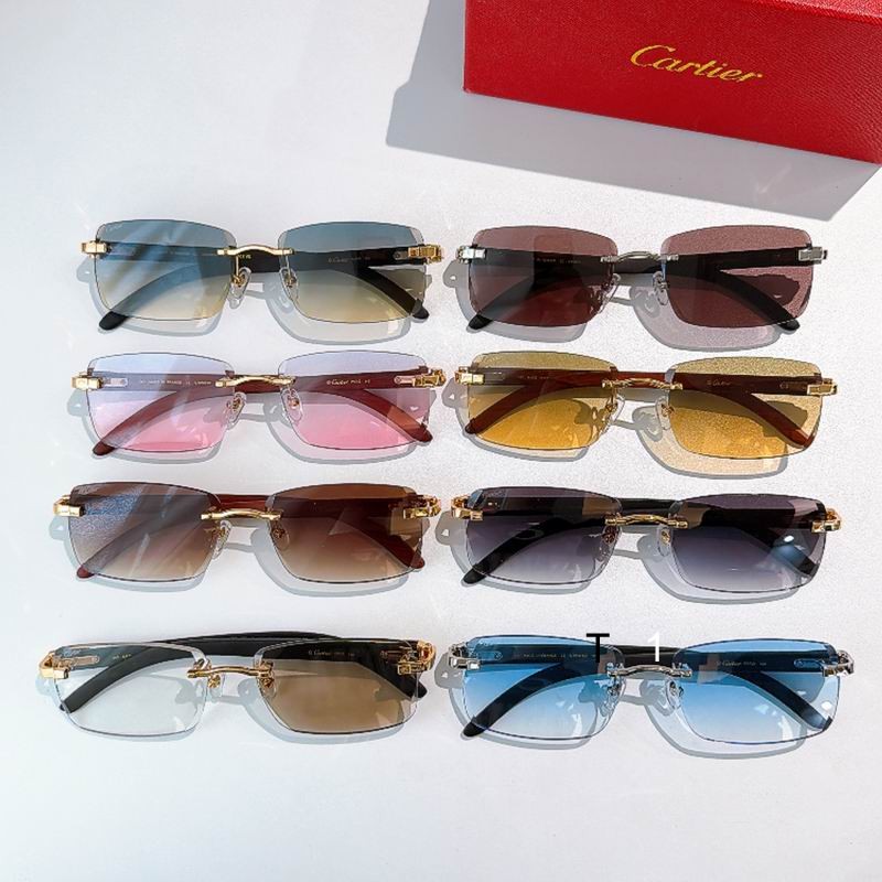Cartier CT01675O 143 s09