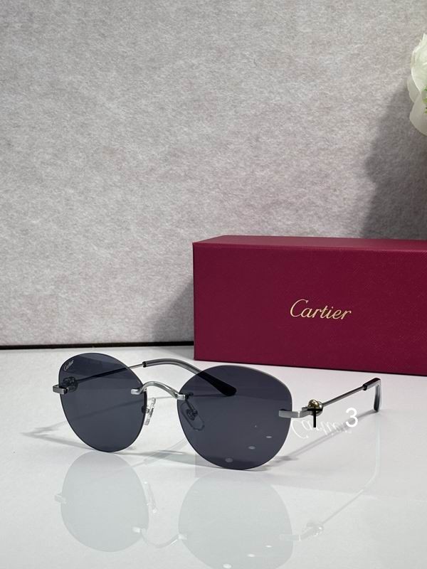 Cartier CT0376O 55 19 135 c01