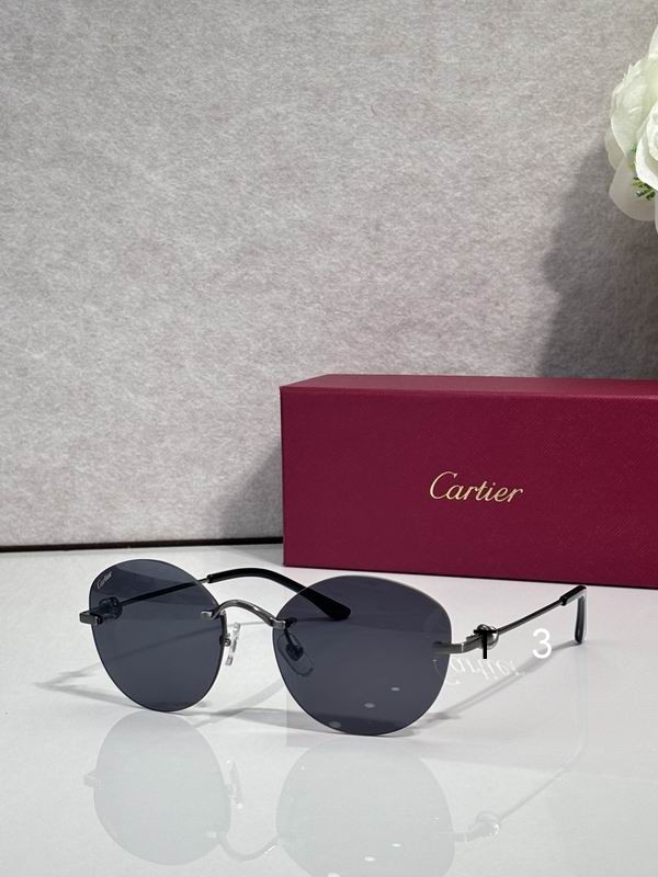 Cartier CT0376O 55 19 135 c04