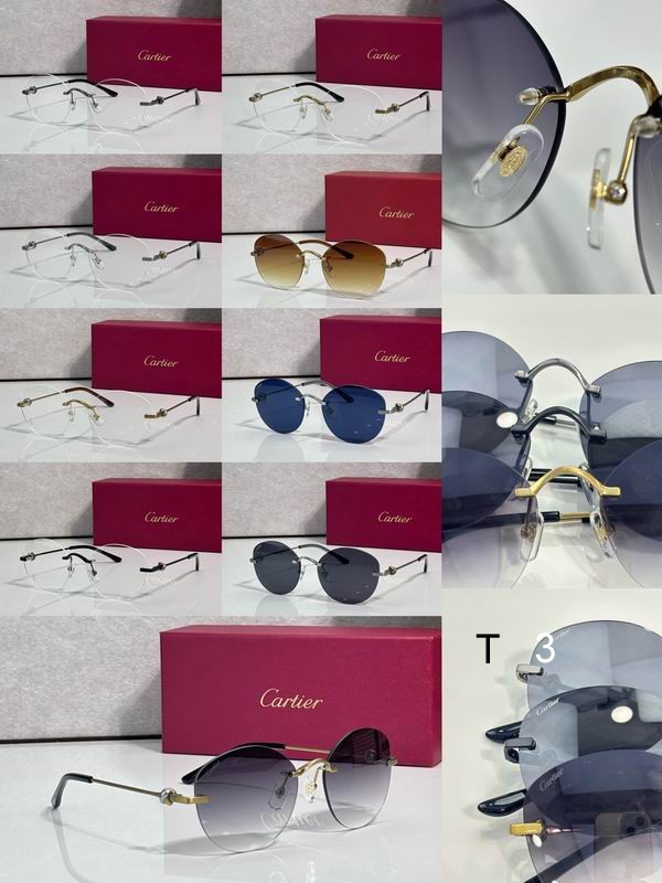 Cartier CT0376O 55 19 135 c08