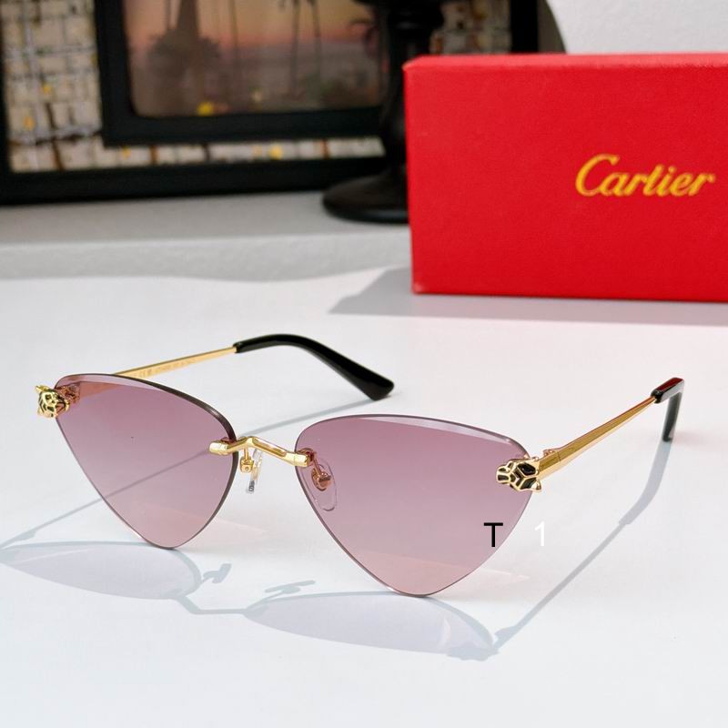 Cartier CT0439S 55 20 140 a03