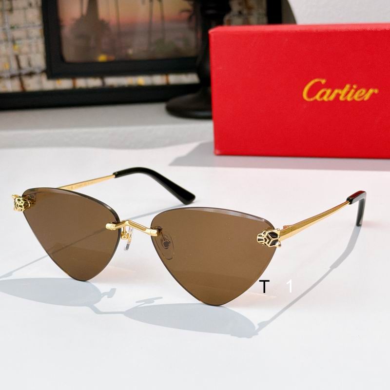 Cartier CT0439S 55 20 140 a05