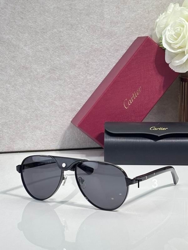 Cartier CT0495S 58 19-145 C01