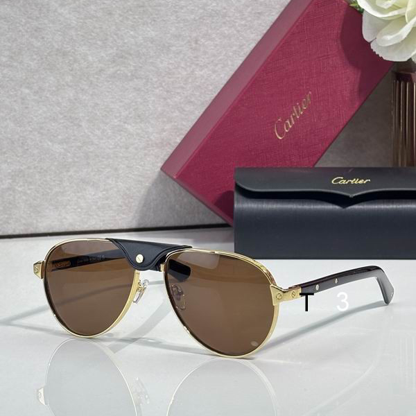 Cartier CT0495S 58 19-145 C03