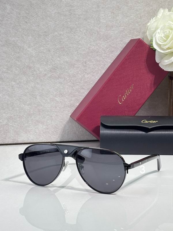 Cartier CT0495S 58 19-145 C06