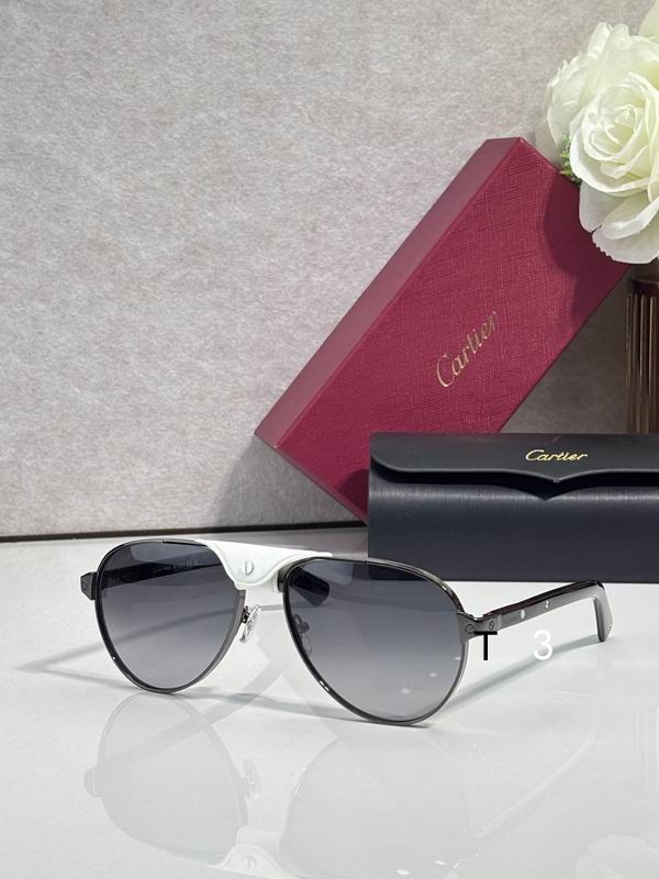 Cartier CT0495S 58 19-145 C07