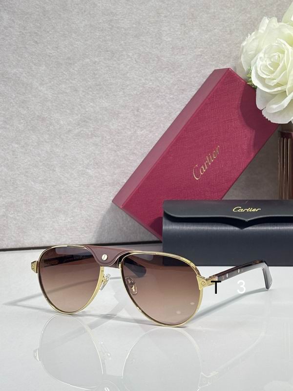 Cartier CT0495S 58 19-145 C08
