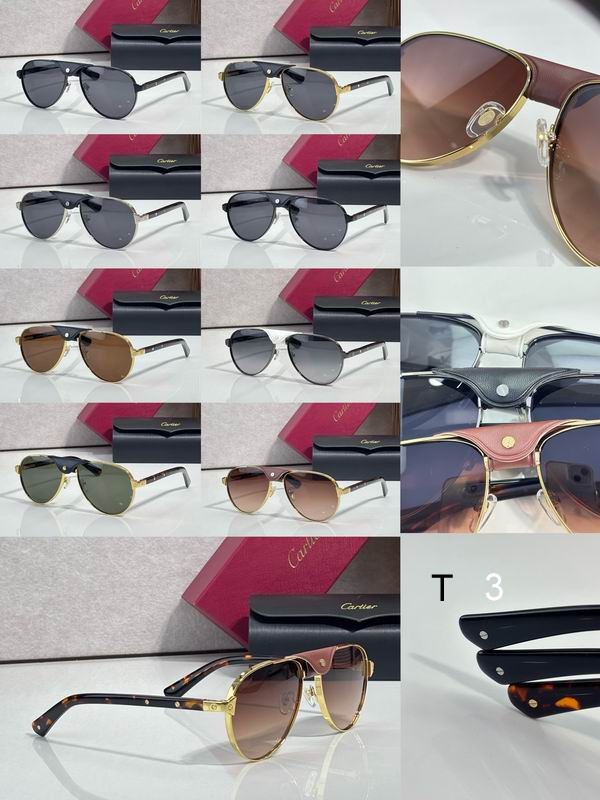 Cartier CT0495S 58 19-145 C10