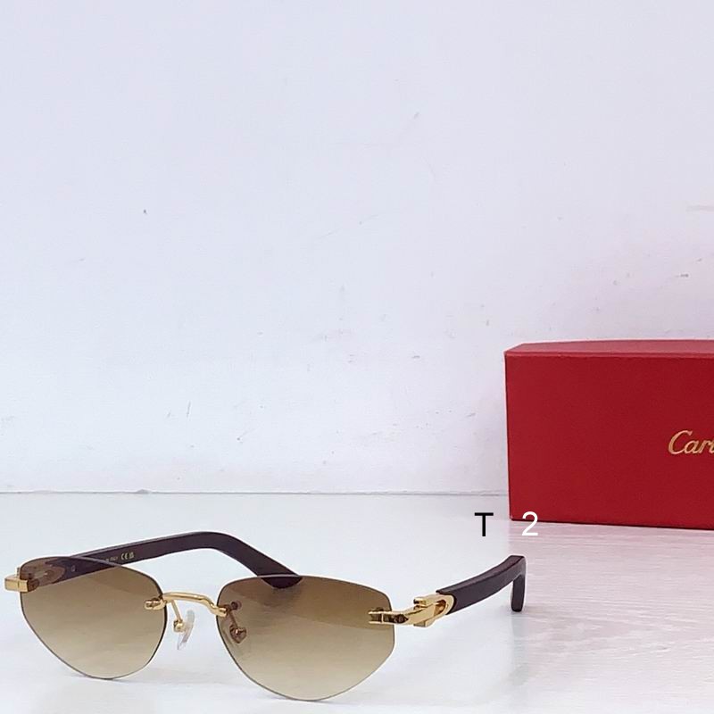 Cartier CT0580S 56 18-145 b02