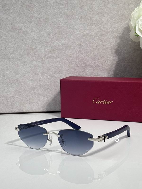 Cartier CT0580S 56 18-145 c01