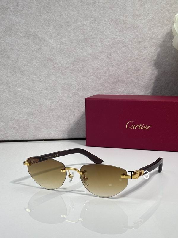 Cartier CT0580S 56 18-145 c04