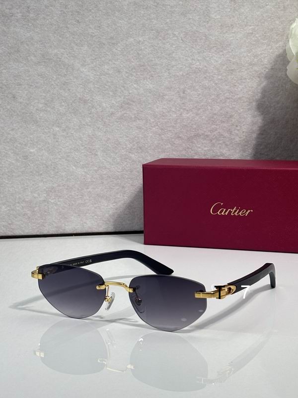 Cartier CT0580S 56 18-145 d06