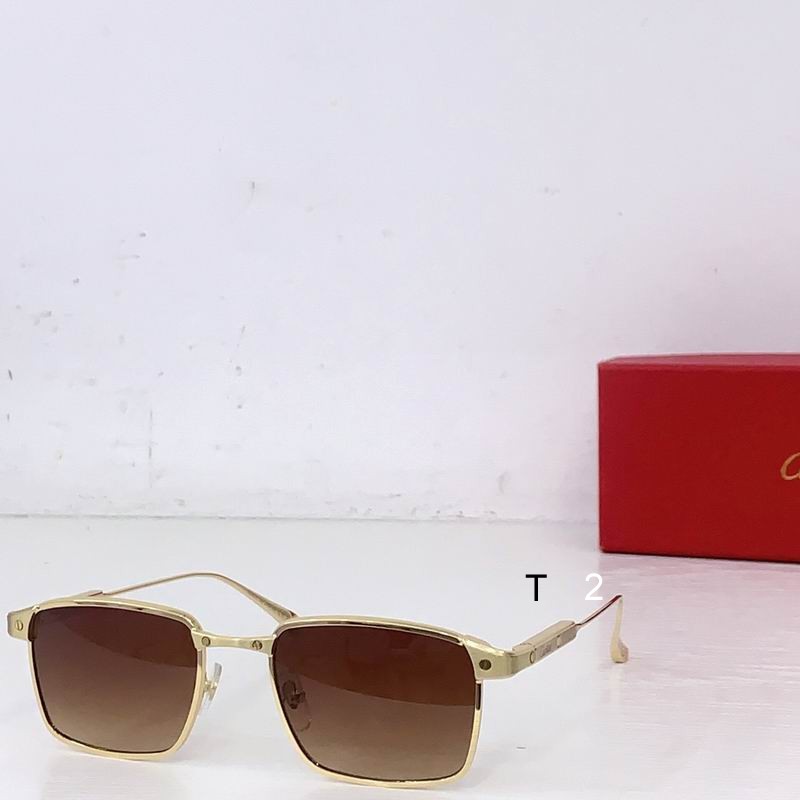 Cartier CT0613O 53 20-145 b03