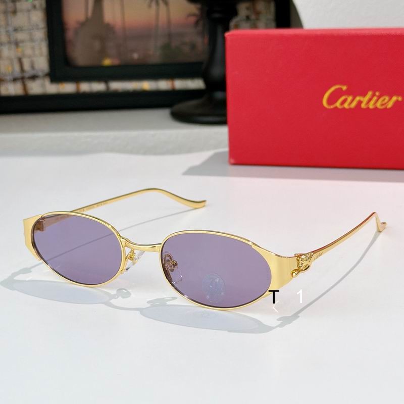 Cartier CT0630S 53 21 135 a08