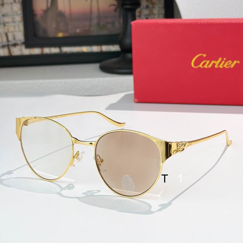 Cartier CT0631S 53 19 135 a01