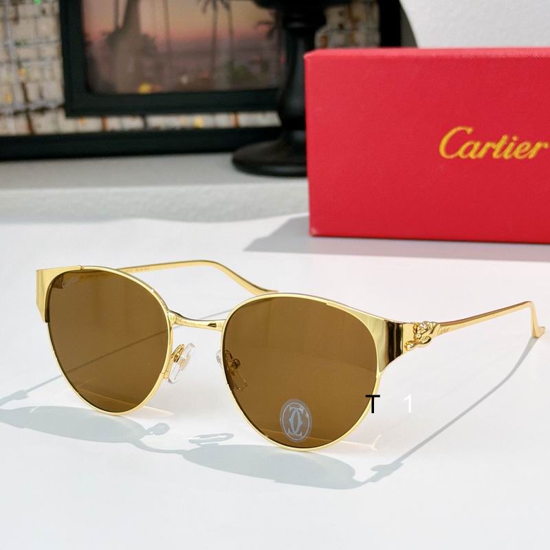 Cartier CT0631S 53 19 135 a05