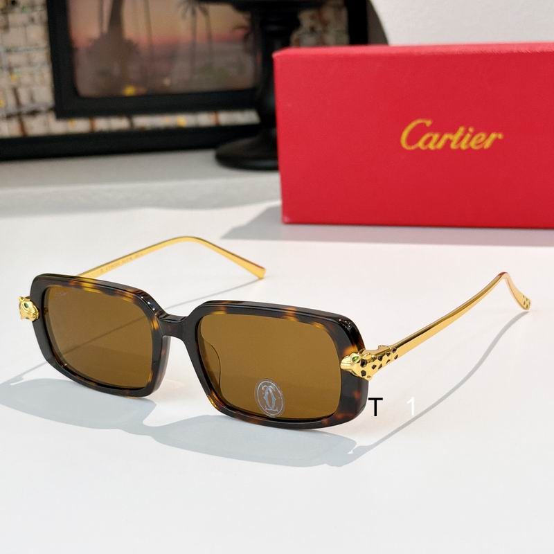Cartier CT0633O 52 19-140 A02