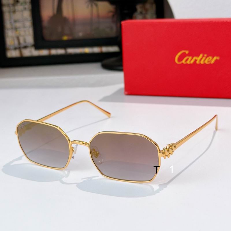 Cartier CT0647S 135 a03