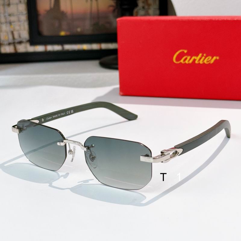 Cartier CT0647S 135 a03