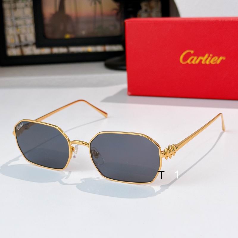 Cartier CT0647S 135 a04