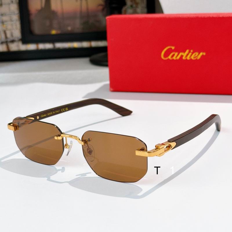 Cartier CT0647S 135 a05