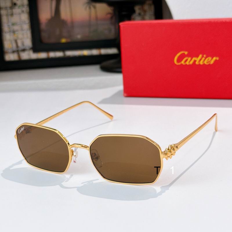 Cartier CT0647S 135 a06