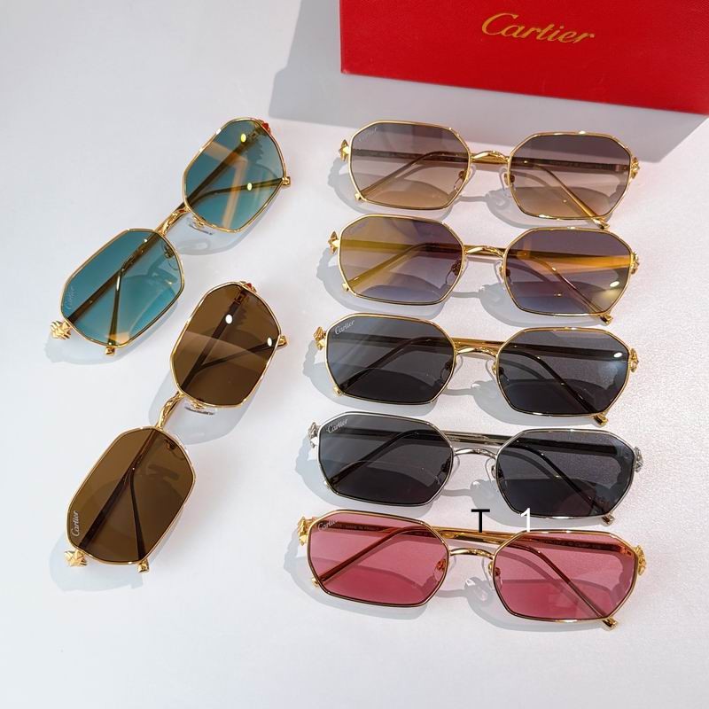 Cartier CT0647S 135 a09