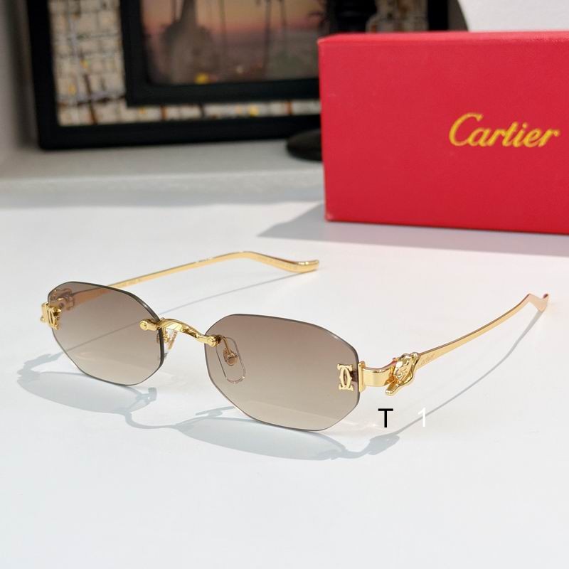 Cartier CT0654S 55 19-135 A01