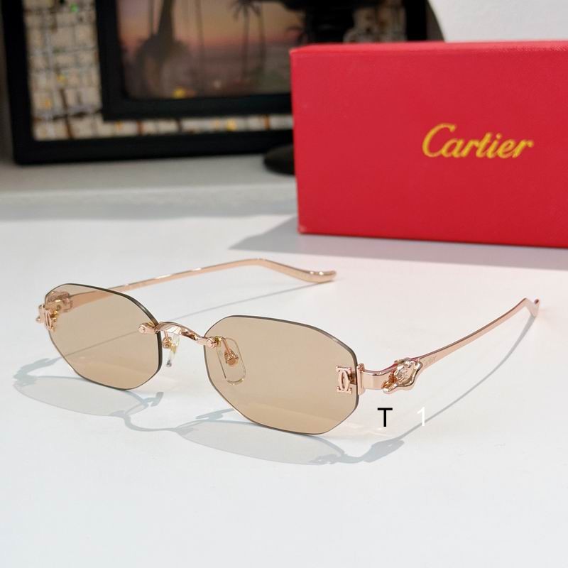 Cartier CT0654S 55 19-135 A05
