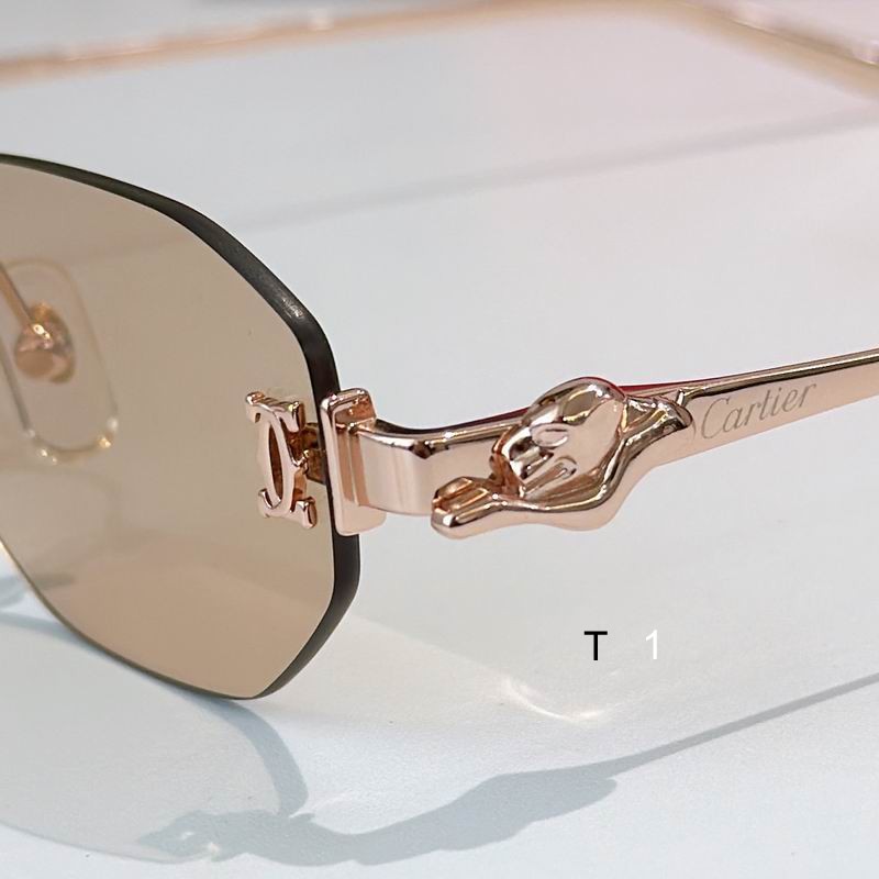 Cartier CT0654S 55 19-135 A06