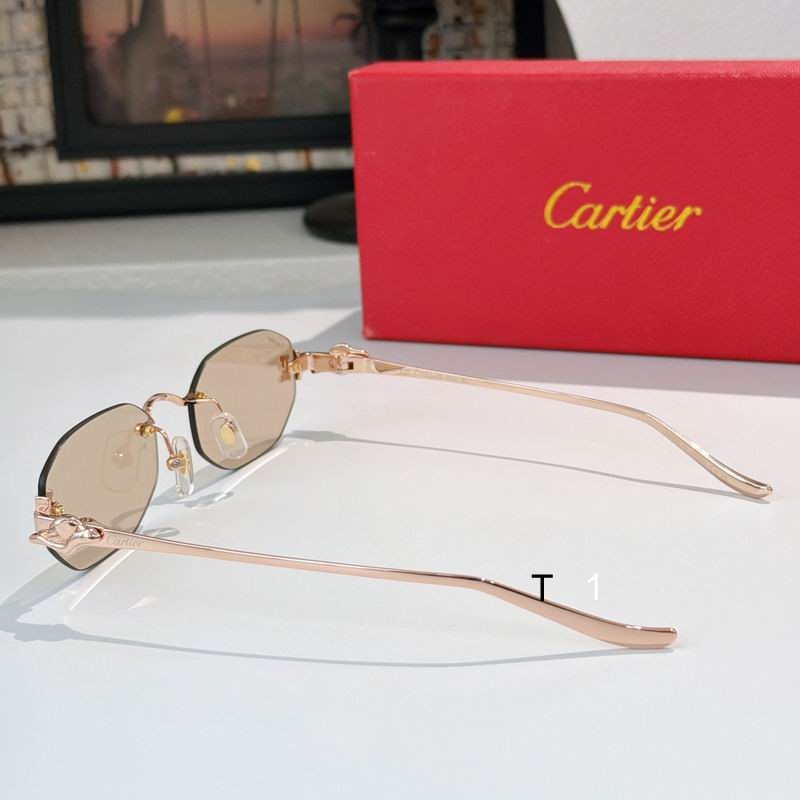 Cartier CT0654S 55 19-135 A07