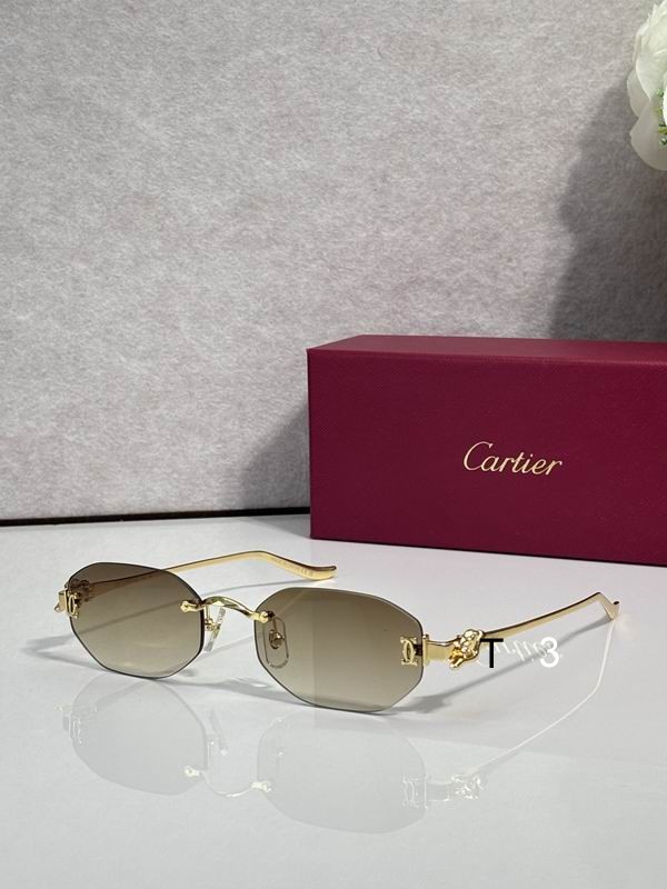 Cartier CT0654S 55 19-135 C01