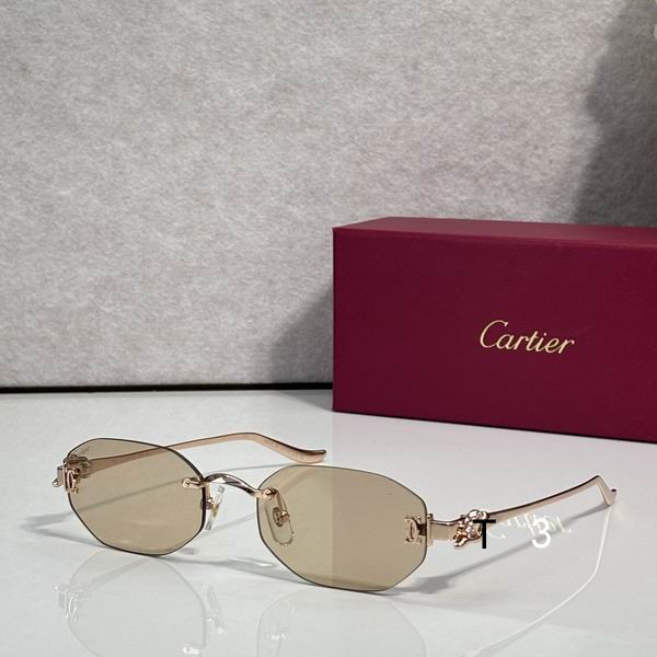 Cartier CT0654S 55 19-135 C02