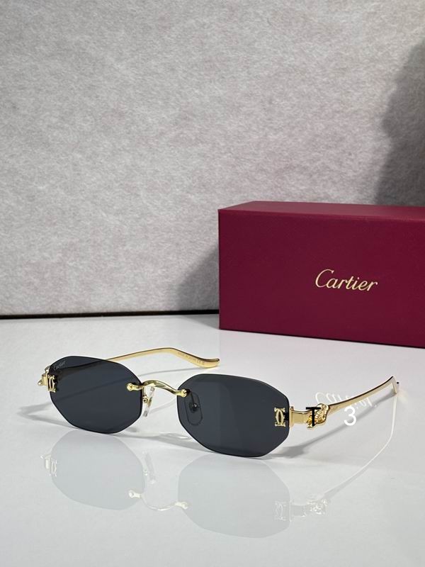 Cartier CT0654S 55 19-135 C04