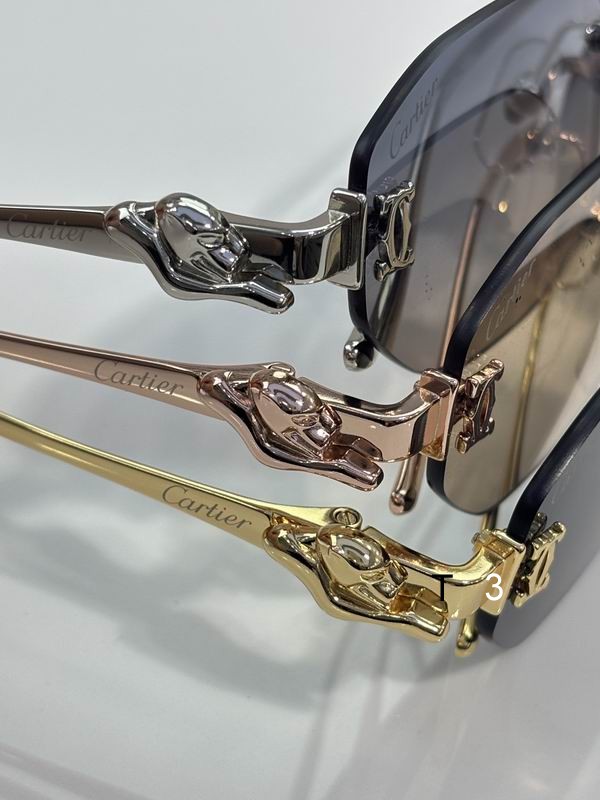 Cartier CT0654S 55 19-135 C06