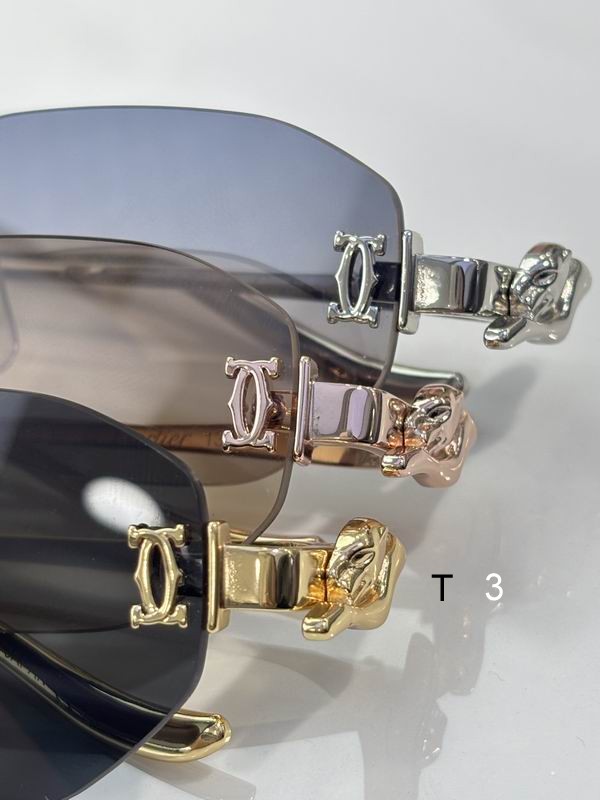 Cartier CT0654S 55 19-135 C07