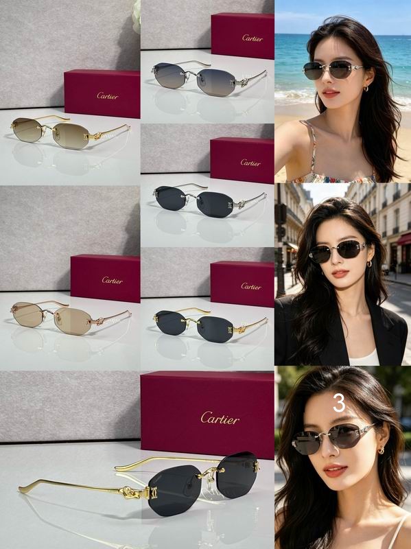 Cartier CT0654S 55 19-135 C08