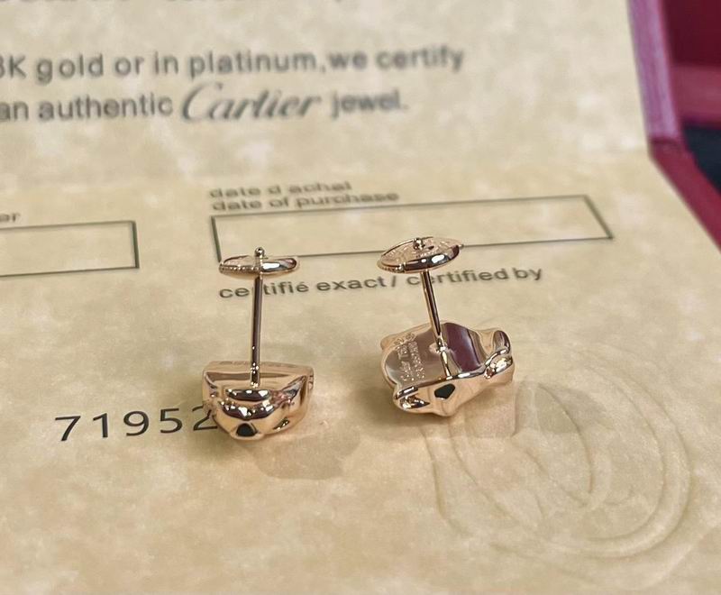 Cartier Earring 02yxs01  (6)