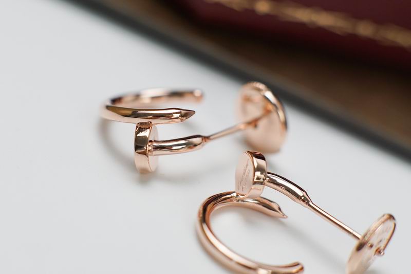Cartier Earring 04yxs01 (4)