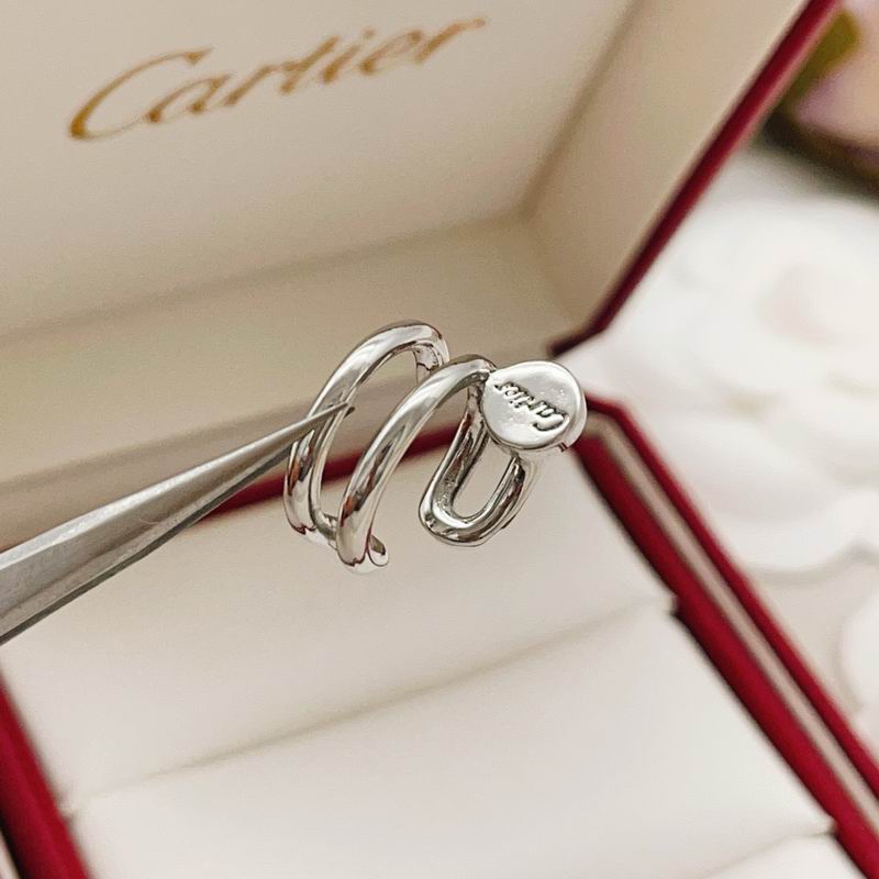 Cartier Earring 04yxs03 (10)
