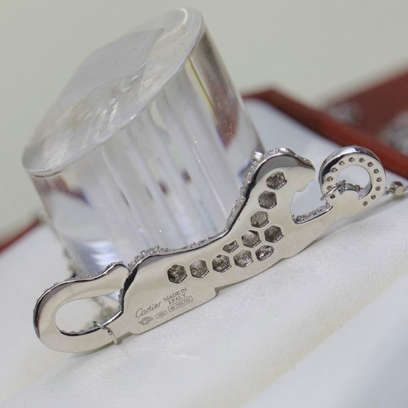 Cartier Necklace 04yxs01 (6)