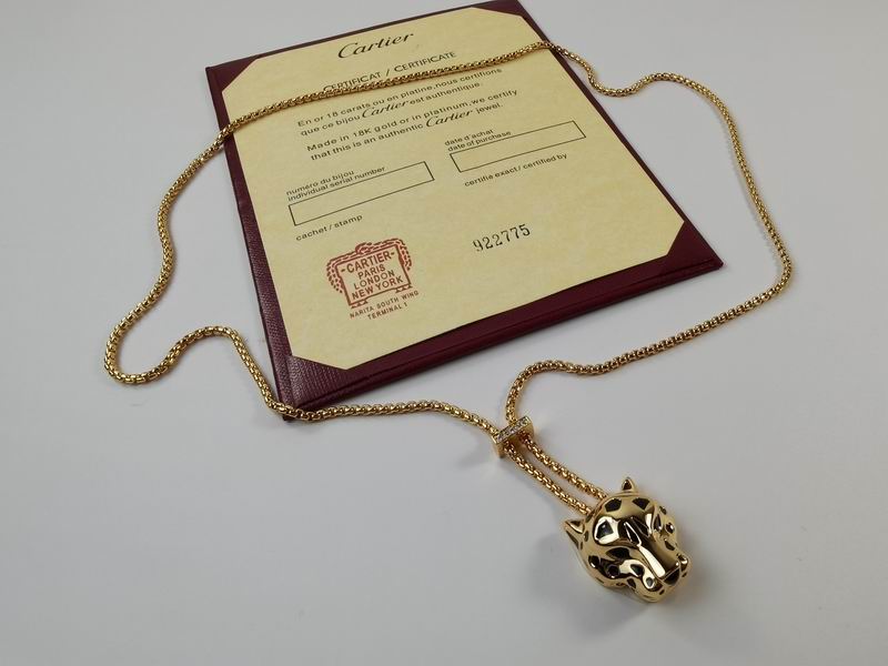 Cartier Necklace 05yxs01 (6)