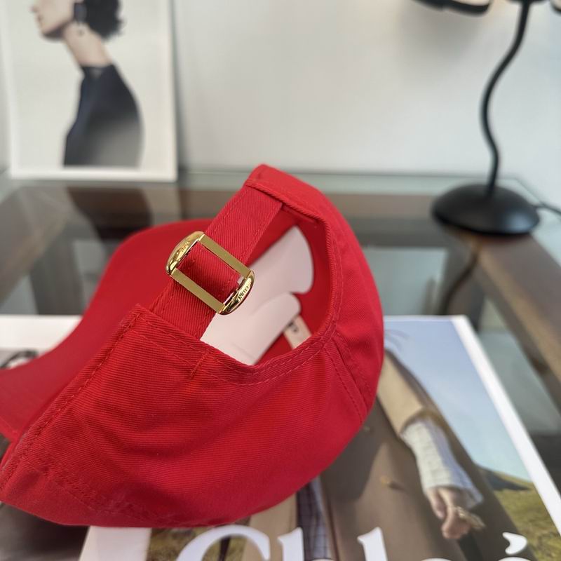 Celine Cap dx (1671)