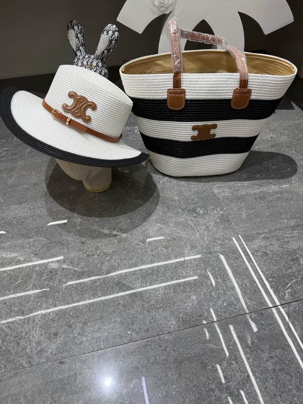 Celine bag hat dx (77)