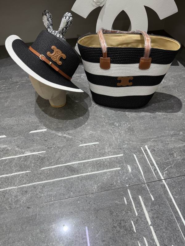 Celine bag hat dx (79)